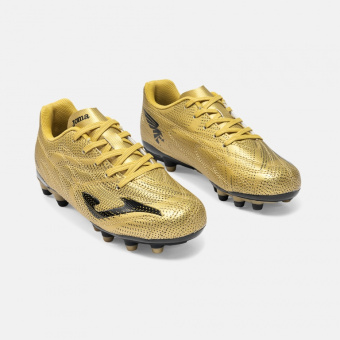 Бутсы EVOLUTION JR 2617 FG